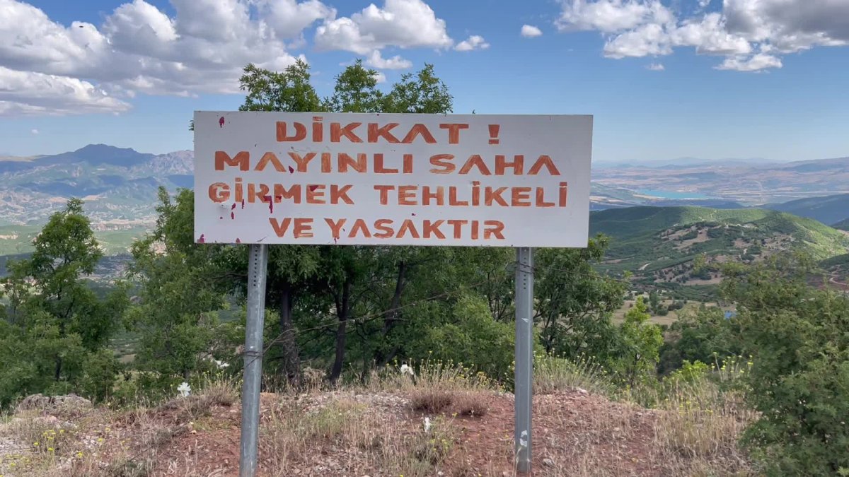 Tunceli köylülerinden mayın temizliği çağrısı