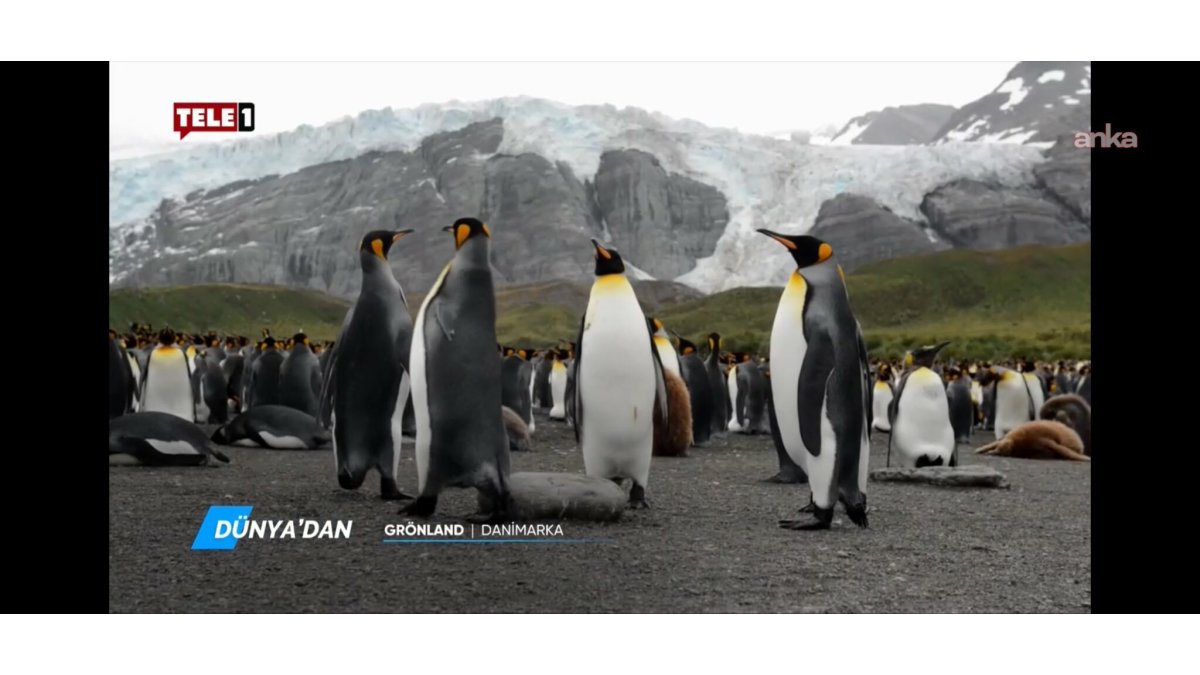 Kayyum atamasına sert tepki: 'Gerçeği öğrenme hakkı gasp edildi!'