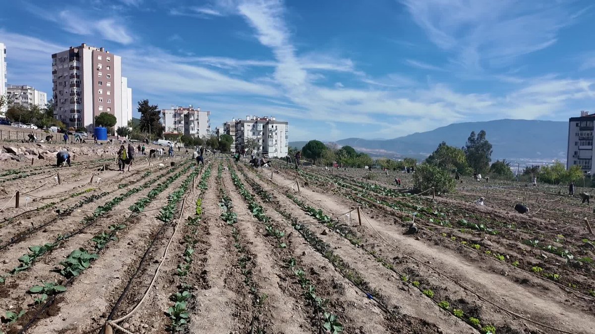 Kadınların gücüyle Bornova'nın tarımı gelişiyor