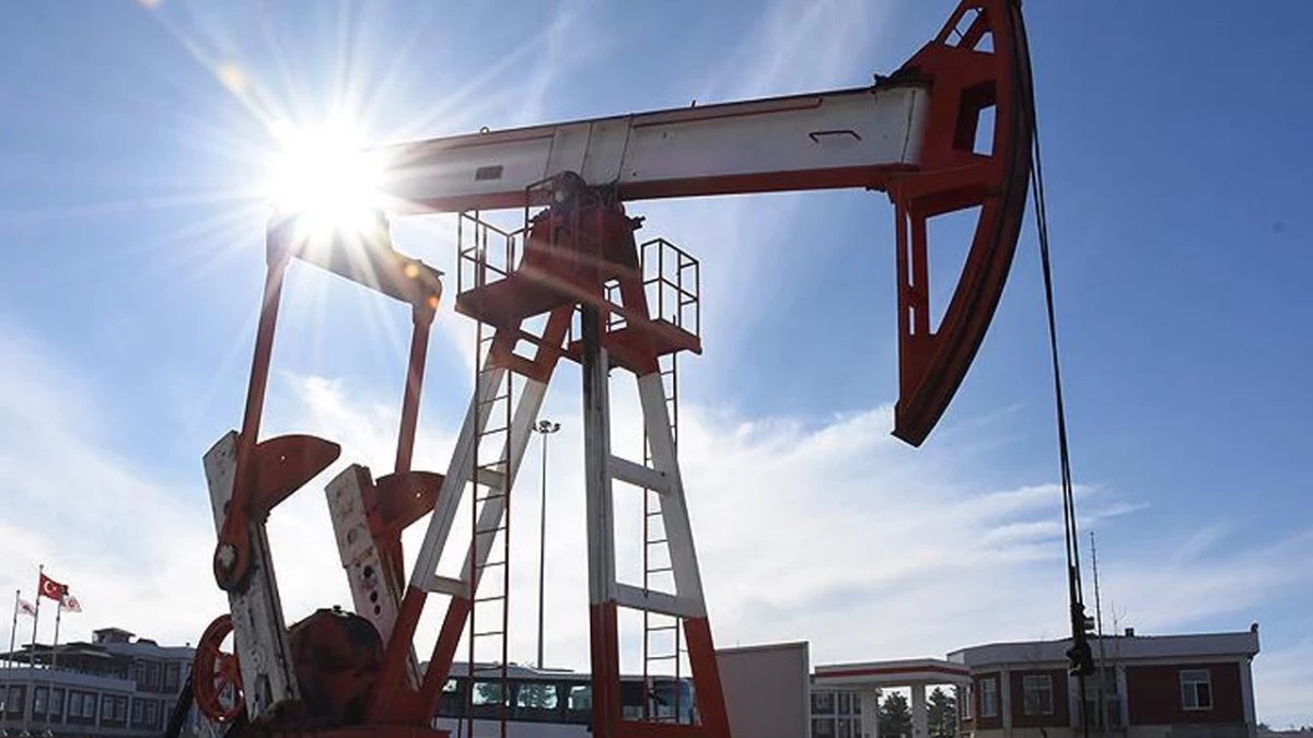 Türk petrol devinin iflasında ikinci duyuru