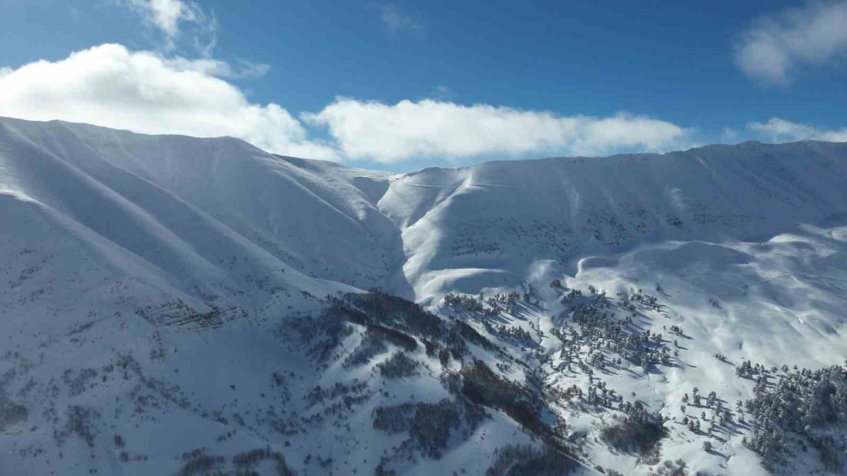 Artvin'de Çığ Tehlikesi: Arama Çalışmalarına Geçici Ara
