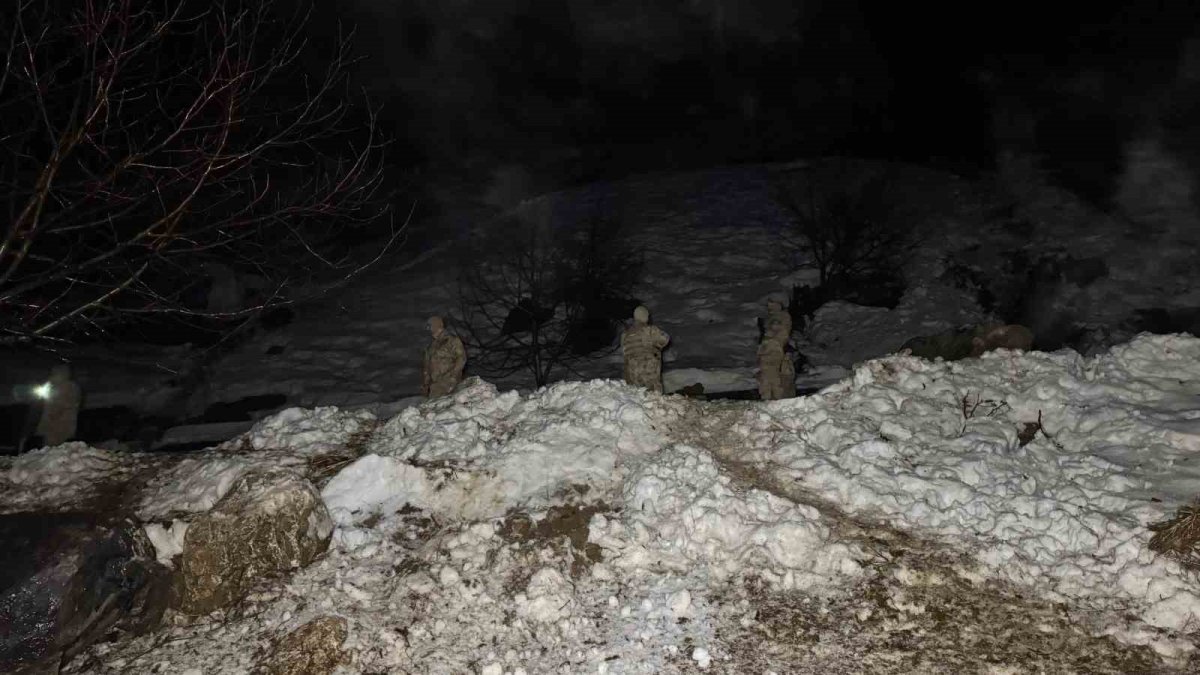 Şırnak'ta Dağdan Kopan Kayalar Köyü Vurdu: 30 Hayvan Telef Oldu