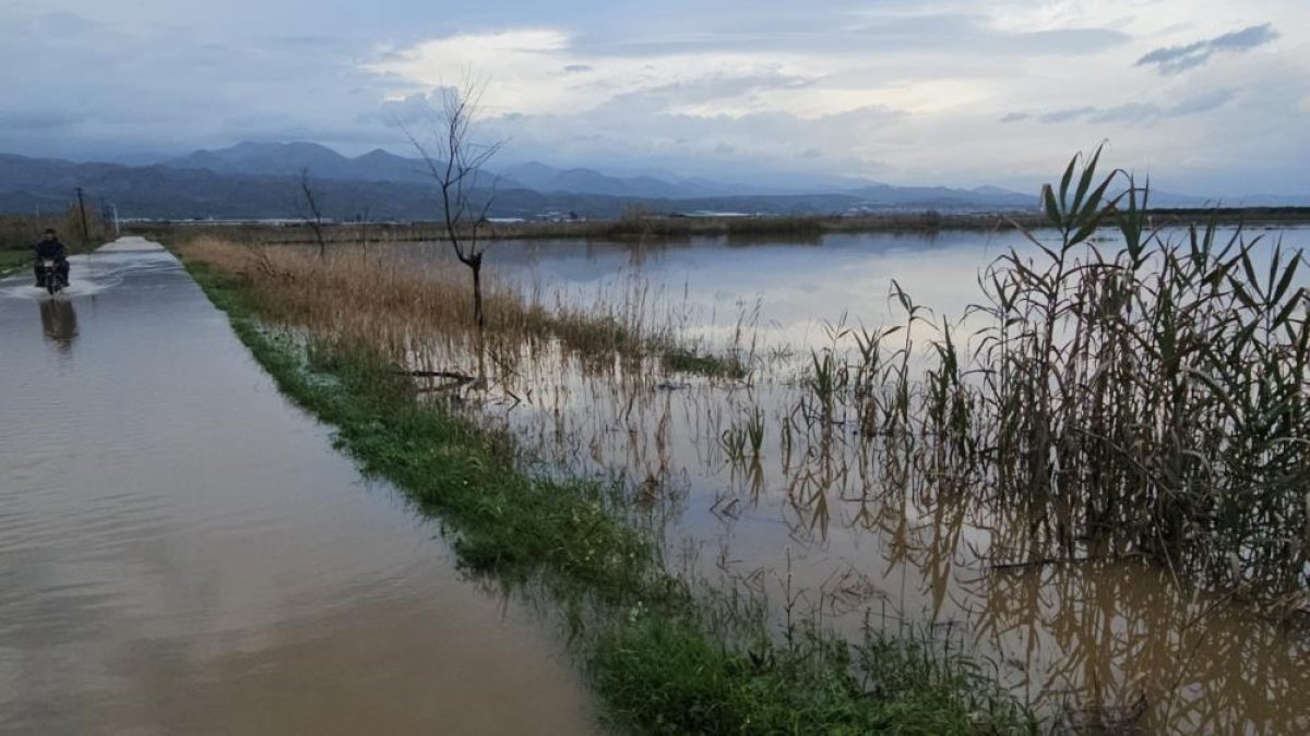 Sultanhisar’da Kurutma Kanalı Taştı: Tarım Arazileri Sular Altında