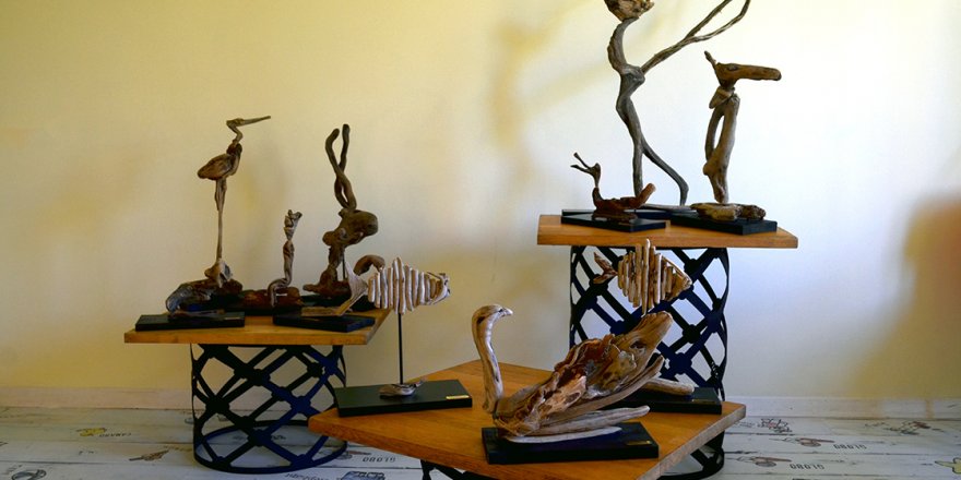 Sahilden topladığı ağaçları sanat eserine dönüştürüyor
