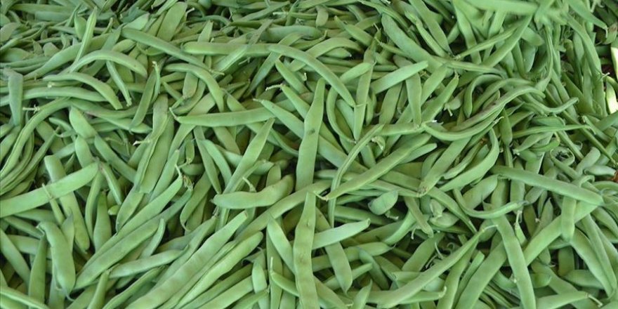 Zam şampiyonu belli oldu