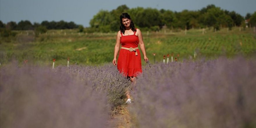 Girişimci kadın lavanta ile işinin patronu oldu