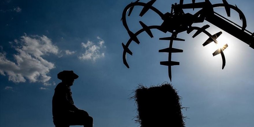 Kars'ta çiftçilerin ot biçme mesaisi başladı