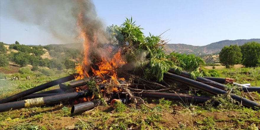 Diyarbakır'da dev operasyon