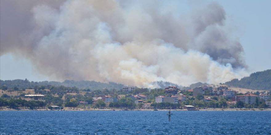 Çanakkale'de orman yangını