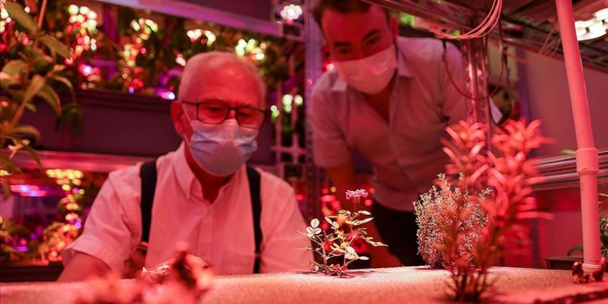 Rektör ve öğrencisi ortak olup yeni nesil bitki tesisi kurdu