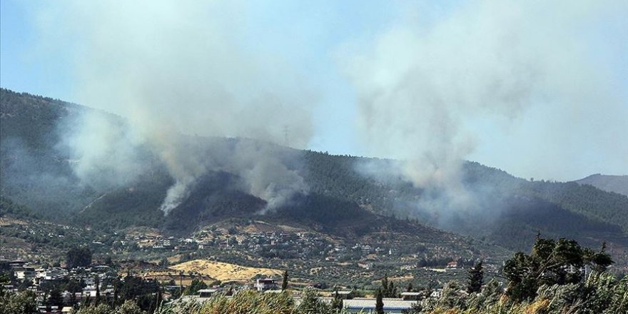 Hatay'da 4 farklı noktada orman yangını