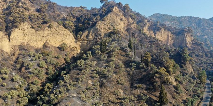 Aydın'da çıkan yangın kontrol altına alındı