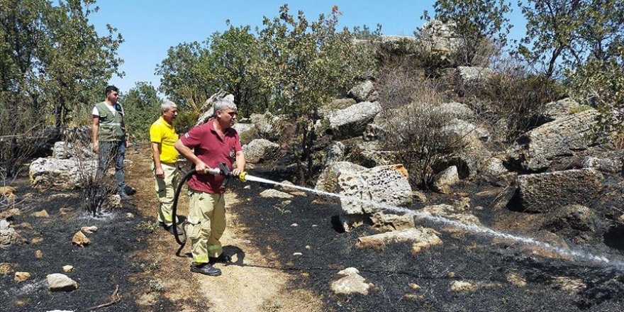 Çanakkale'deki Alexandria Troas Antik Kenti'nde çıkan yangın söndürüldü