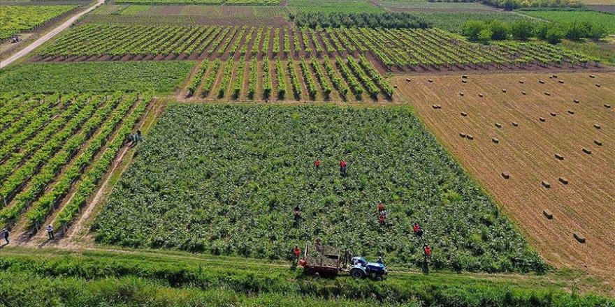 Çiftçi Kayıt Sistemi'ne başvuru süresi uzatıldı
