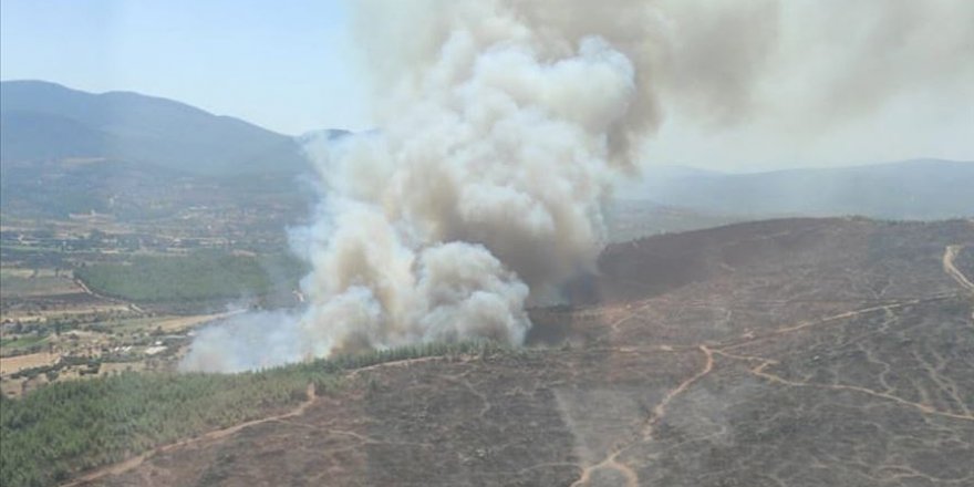 Muğla'da orman yangını