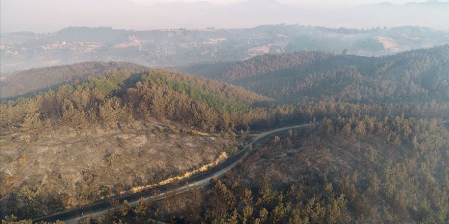 Kozan'daki orman yangını kontrol altına alındı