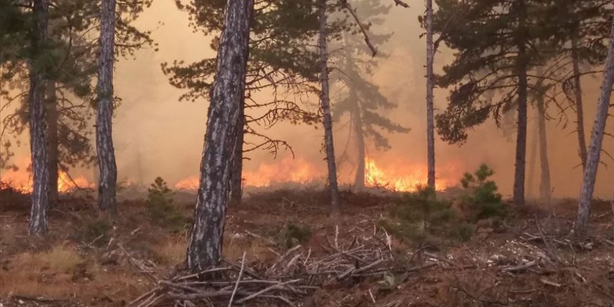 Orman yangını kontrol altına alındı