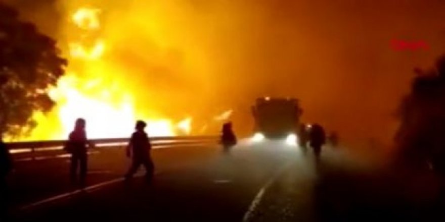 Orman cayır cayır yanıyor