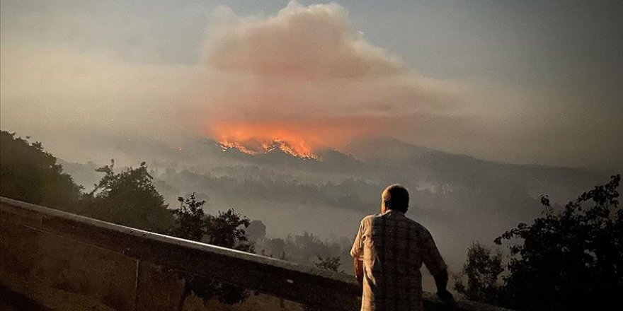 Ankara'daki orman yangını