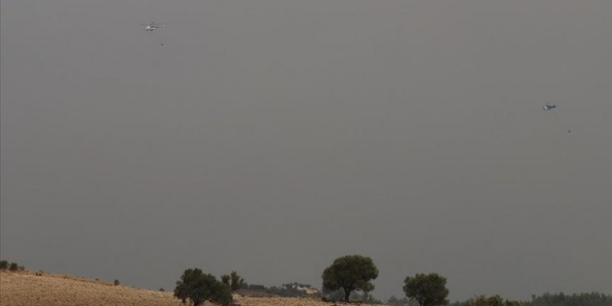 Hatay'daki orman yangınına havadan müdahaleye yeniden başlandı