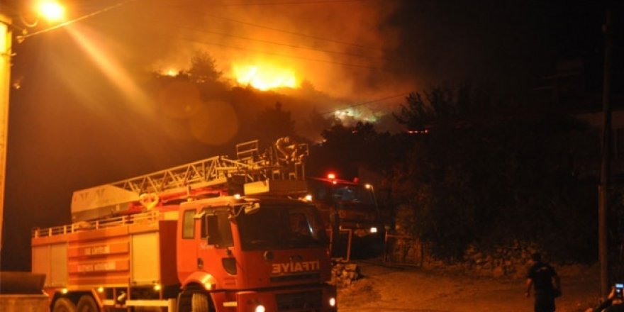 Manisa'daki orman yangını kontrol altına alındı