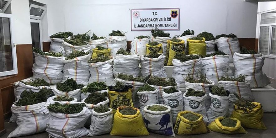 Diyarbakır'da 669 kilo 60 gram esrar, 510 bin kök Hint keneviri ele geçirildi