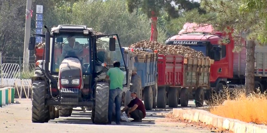 Elazığ Şeker Fabrikası'nda 65. pancar alım kampanyası başladı