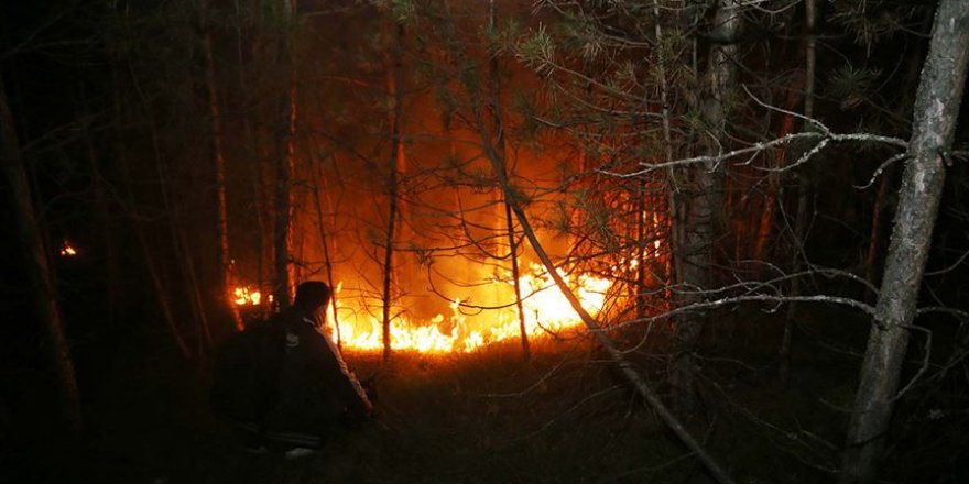 Kastamonu'da korkutan orman yangını