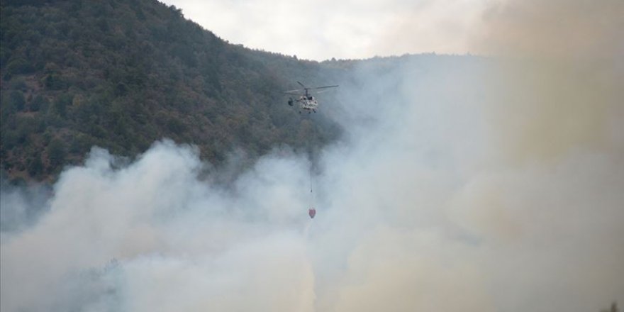 Eskişehir'deki orman yangını kontrol altına alındı