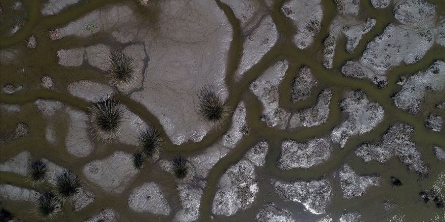 Kızılırmak Deltası'nda kuraklık tehdidi