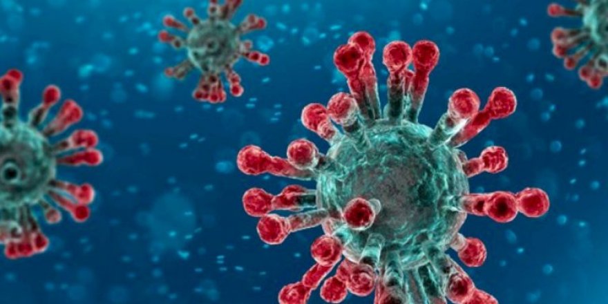 Dünya genelinde koronada son durum