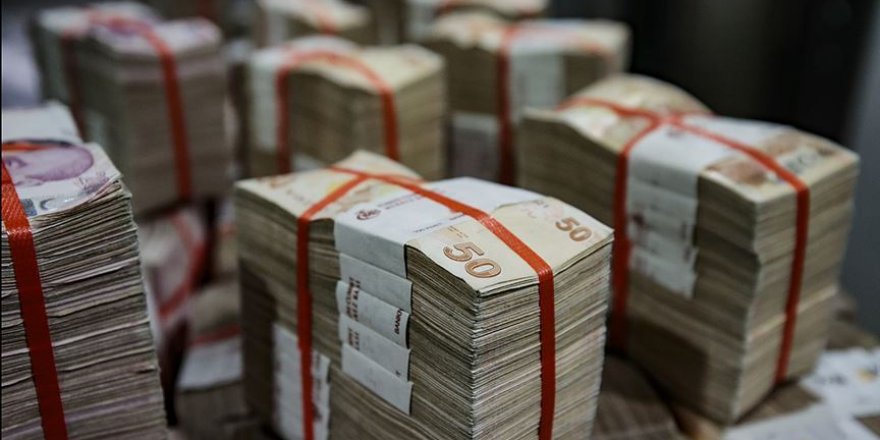 Ödenekte 'aslan payı' Hazine ve Maliye Bakanlığının