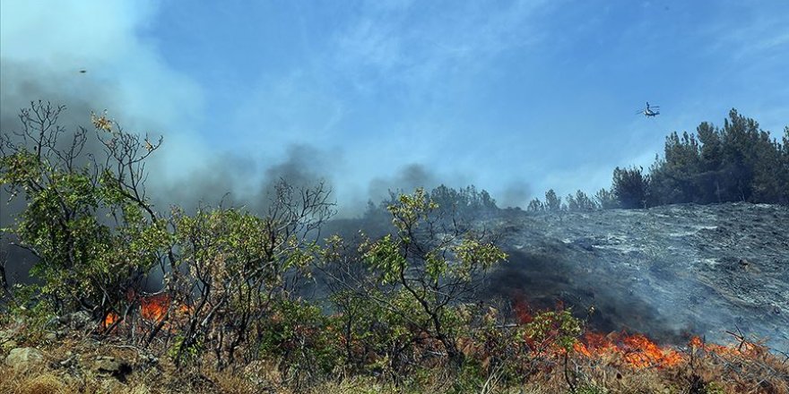 Kahramanmaraş'taki orman yangını sürüyor