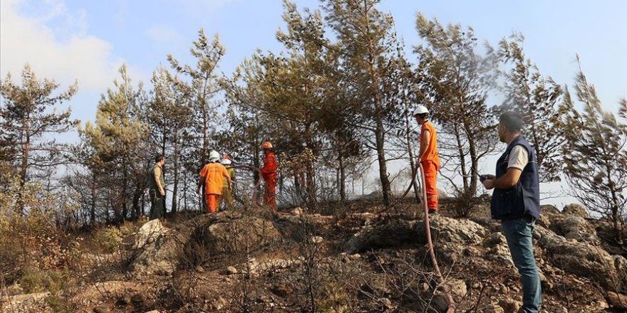 Hatay'daki yangında soğutma çalışmaları sürüyor