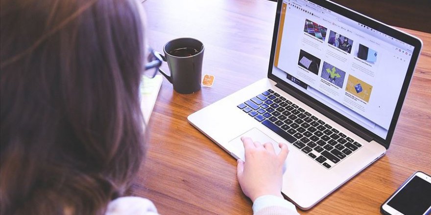 İnternette alan adı verme yetkisi artık BTK'de