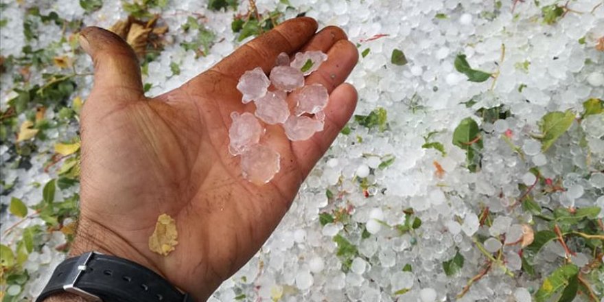 Antalya'da dolu yağışı meyve ağaçlarına zarar verdi
