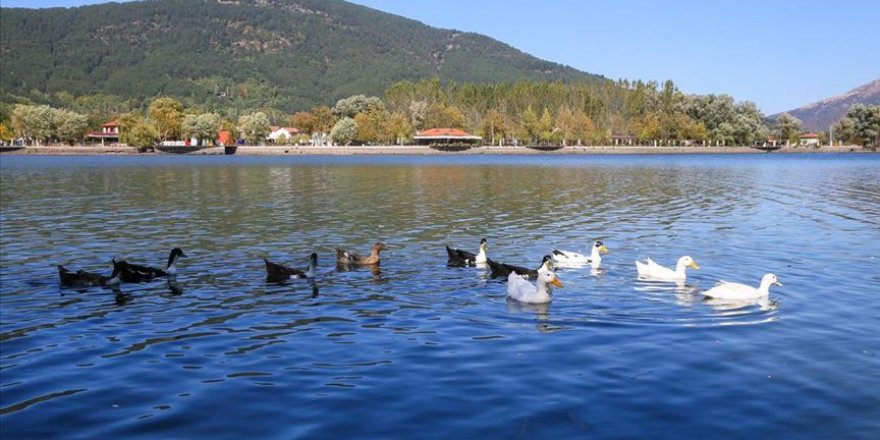 Doğa harikası Gölcük Yaylası salgında kaçış noktası oldu