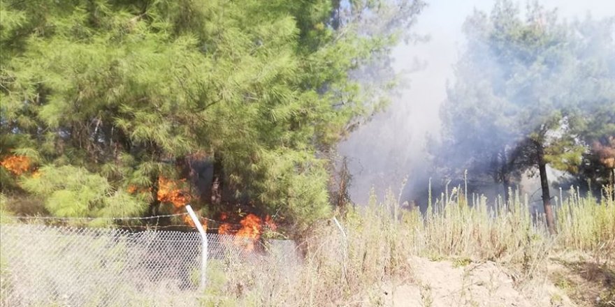 Hatay'da çıkan orman yangını kontrol altına alındı