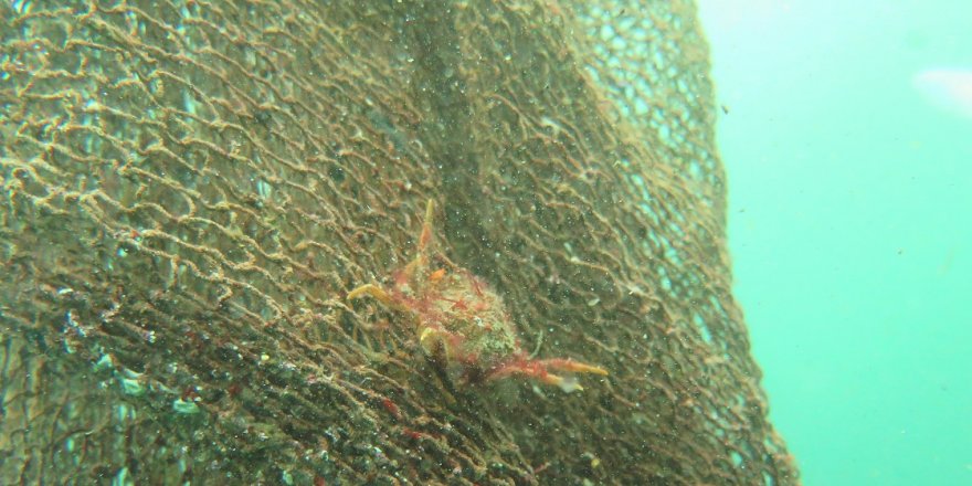 Çanakkale Boğazı hayalet ağlardan kurtarıldı