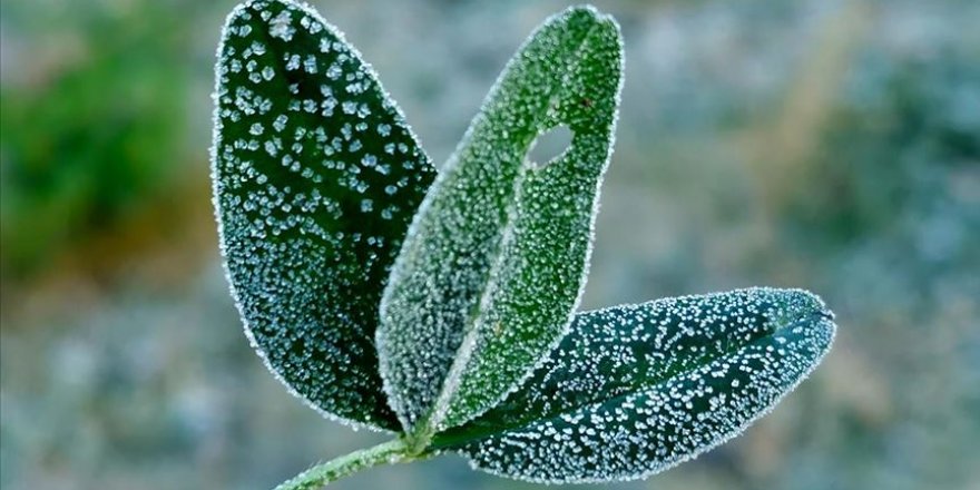 Doğu Anadolu'da 6 ilde sıcaklık sıfırın altına düştü