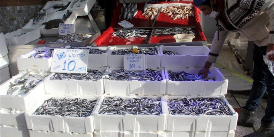 Sinop açıklarındaki hamsi bolluğu balıkçıların yüzünü güldürüyor