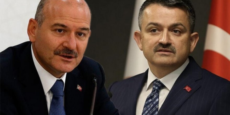 İçişleri Bakanı Soylu ile Tarım ve Orman Bakanı Pakdemirli, Şanlıurfa'da