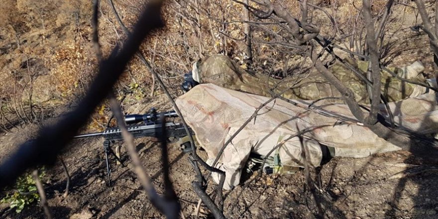 Bitlis'te 'Yıldırım-16 Sehi Ormanları Operasyonu' başlatıldı