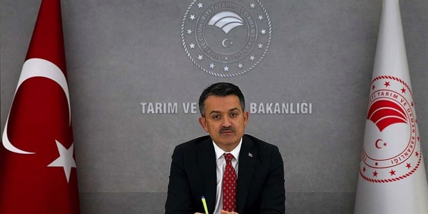 Bakan Pakdemirli üç sektöre yönelik desteklerin detaylarını paylaştı