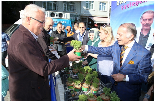 Bayrampaşa’da 50 bin fesleğen dağıtılacak...