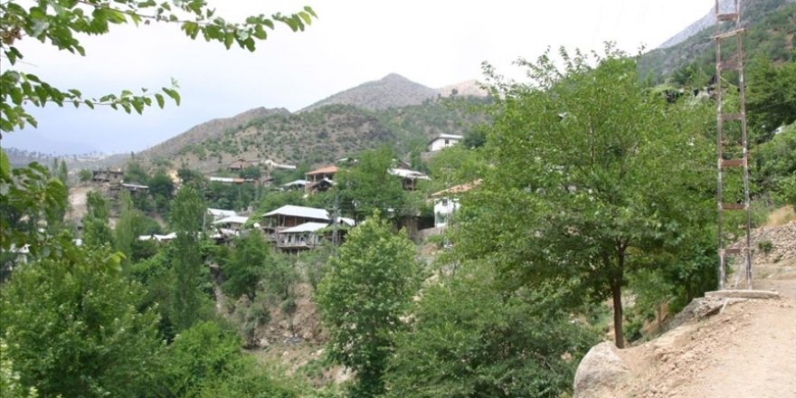 Ekmek pişiren 40 kadının testi pozitif çıktı