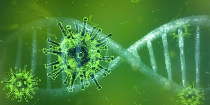 Belçikalı virolog: Virüsün türlerinin ortaya çıkması normal