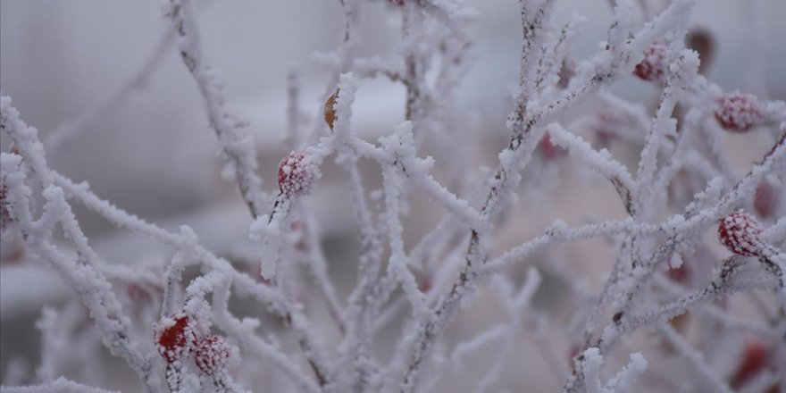 Doğu Anadolu'da gece en düşük sıcaklık Ağrı'da ölçüldü