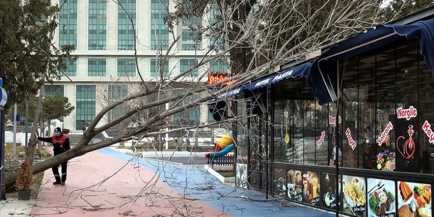Kırıkkale, Kayseri, Kırşehir ile Niğde'de fırtına nedeniyle ağaçlar devrildi