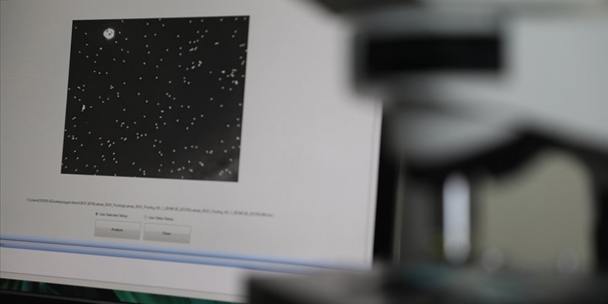 Nesli yok olma tehlikesi altındaki balıkların üretimi sağlanacak